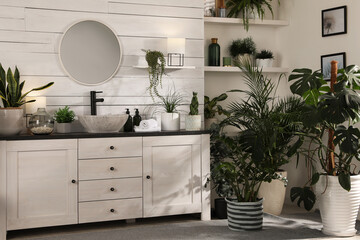 Stylish bathroom interior with vessel sink and beautiful plants
