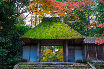 京都　法然院の山門と紅葉