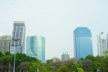 Fototapeta premium Photo taken in a park in Thailand.