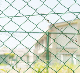 Fototapeta premium フェンス 学校の風景