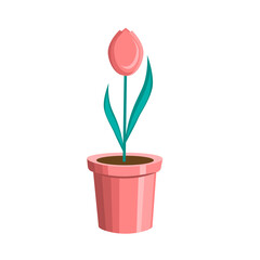 Colorful tulip flower in a flower pot,isolated on a white background.Vector illustration can be used in postcards,textiles, labels.