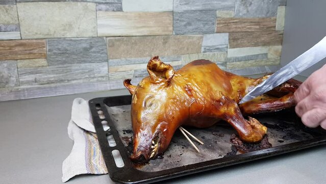 the cook cuts into pieces a pig baked in the oven. portioned distribution of a beautiful pork dish to the table. suckling pig