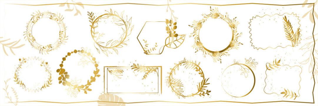 Set of floral frames with different grasses, ferns and leaves. Flower wreaths with ornaments and gold glitter effects. Element design. Vector illustration. Flora. Gold.