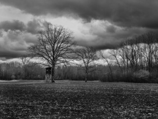 Bare Tree and Perch or High Seat on a Field in a Winter Landscape in the Mostviertel Region of...