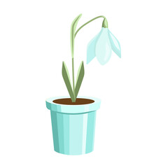 A colorful snowdrop flower in a flower pot, isolated on a white background.Vector illustration can be used in postcards,textiles, labels.