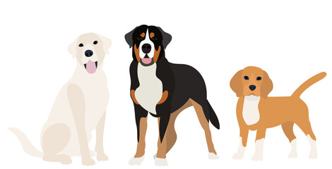 Obraz premium dogs flat design on white background, vector