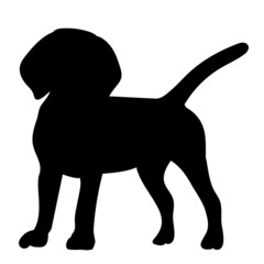 dog black silhouette, isolated vector