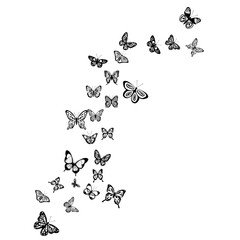 flying butterflies on a black silhouette background, isolated