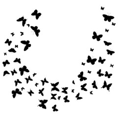 Naklejka na ściany i meble flying butterflies on a black silhouette background, isolated vector