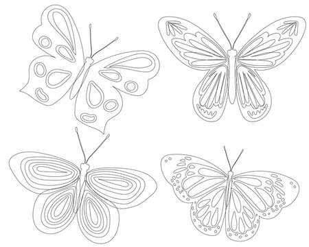 butterfly outline on white background