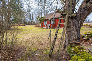 Red cottage at spring