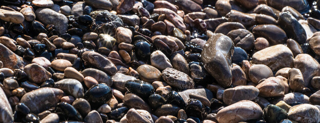 Sun reflection on the wet pebbles.