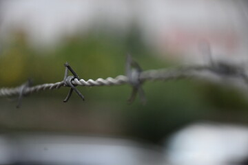 barbed wire fence