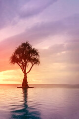 a beautiful silhouette of a lonely palm tree against the background of an unusually colorful pink sunset. evening by the sea, watching the reflection of the sky in the water. relaxation and meditation
