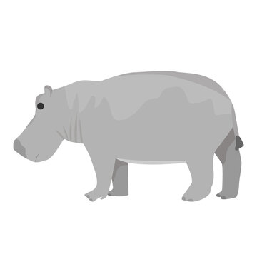 African hippopotamus in flat style isolated on white background
