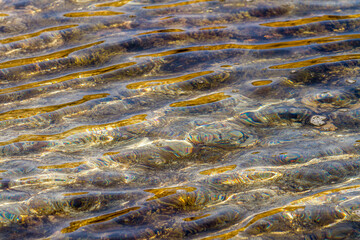 Seichtes Wasser und Lichtreflexe auf der Wasseroberfläche