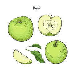 Apple fruit sketch vector illustration. Green apple isolated on white background.
