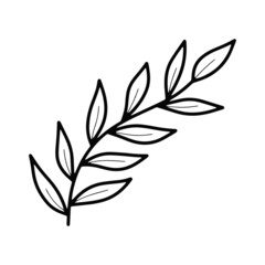 Vector doodle plant branch with leaves isolated.