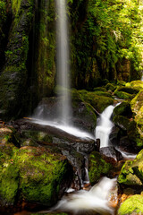 waterfall in the forest