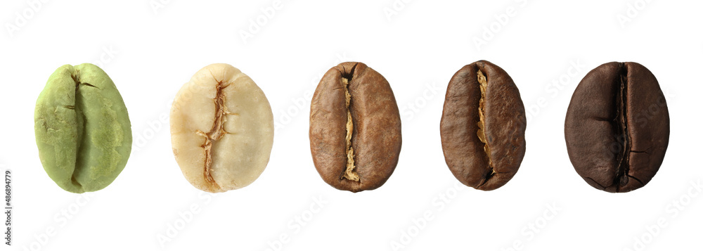 Poster Stages of roasting coffee beans on white background, collage. Banner design