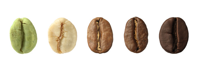Stages of roasting coffee beans on white background, collage. Banner design