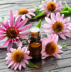 Blooming coneflower heads and bottle of echinacea oil on wooden background close-up.
