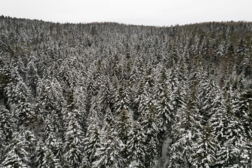 Zimowy widok na pokryte śniegiem góry, Beskid Niski i Beskid Sądecki