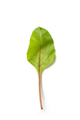 Spinach leaves isolated on white background.