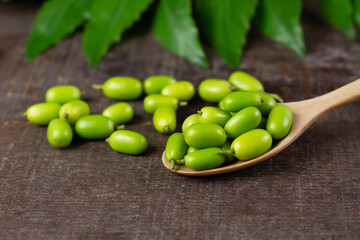 Fresh Neem fruit on wooden spoon and neem green leaf on rustic wooden background.