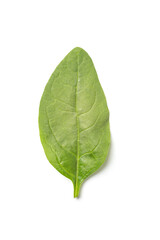 Obraz premium Spinach leaves isolated on white background.