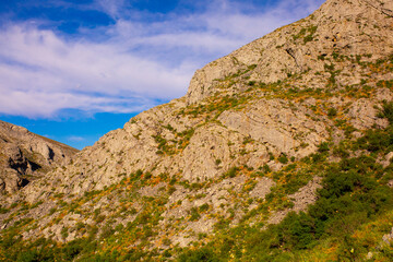 Fototapeta na wymiar Beautiful nature of rocky mountains. Unusual landscape of nature. Trees among the rocks against the sky with clouds.