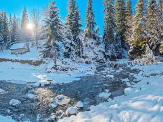 Fir trees covered with snow and stream with icy edge. Beautiful winter background.