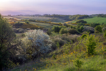 landscape in the mountains