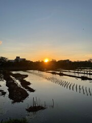 Naklejka premium sunset over the river