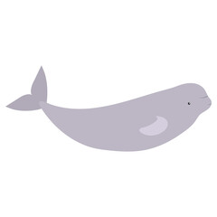 Beautiful cartoon illustration with colorful sea animals beluga whale on white background for print design. Kid graphic. Sea underwater life. Vector isolated hand drawing.