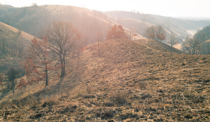 Beautiful hazy morning and hilly landscape, Zagajicka brda, Deliblatska pescara, Serbia - obrazy, fototapety, plakaty