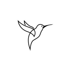 hummingbird line logo icon designs
