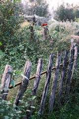 fence