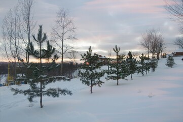 Winter sunset in the park. Reflection of beautiful clouds in the snow. Selective focus.