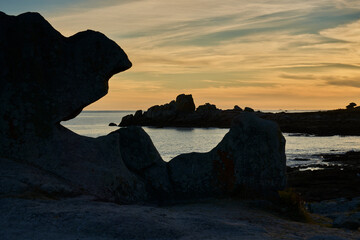Dans la gueule du loup 