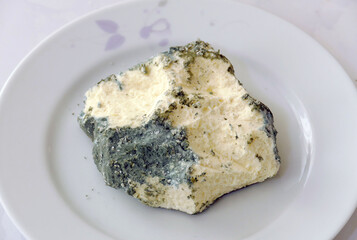 Moldy Cheese in a Plate, Moldy Green Cheese,