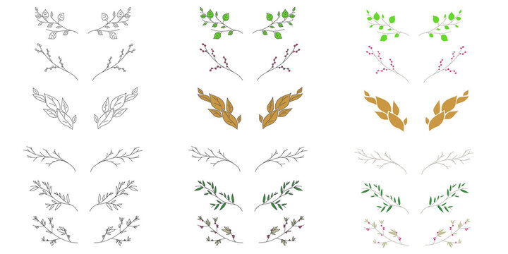 Set of tree branches for logo or web design floral elements illustration. Hand drawn vector line botanical collection of illustration. Sketch and coloured picture.