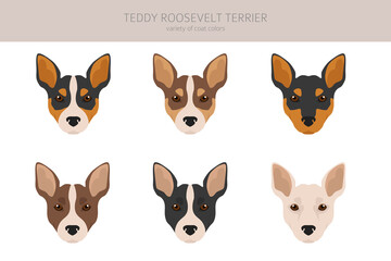 Teddy Roosevelt terrier clipart. Different poses, coat colors set