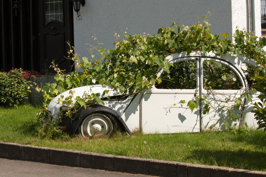old car full with plants