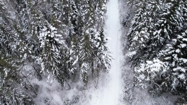 Widok z drona na zimowy krajobraz polskich g&oacute;r, Beskid Niski i Beskid Sądecki