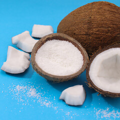 Summer tropical coconut on vibrant blue background. Minimal exotic fruits