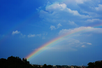 日本、神奈川県、夏の空に架かる虹