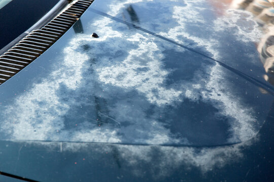 sun damaged paint on car hood