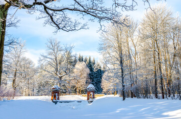 Winter Alexander park in snow, Pushkin (Tsarskoe Selo), St. Petersburg, Russia