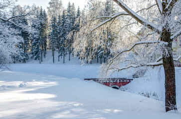 Winter Alexander park in snow, Pushkin (Tsarskoe Selo), St. Petersburg, Russia